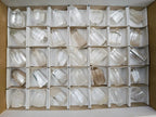 Polished Clear Quartz Crystal Points x 35 From Madagascar - Toprock Gemstones and Minerals 