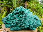 Natural XL Botryoidal Malachite Specimen x 1 From Kolwezi, Congo - Toprock Gemstones and Minerals 