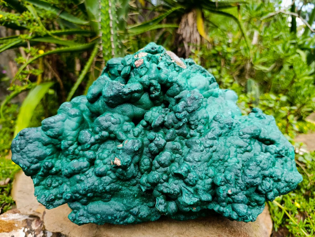Natural XL Botryoidal Malachite Specimen x 1 From Kolwezi, Congo - Toprock Gemstones and Minerals 