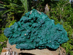 Natural XL Botryoidal Malachite Specimen x 1 From Kolwezi, Congo - Toprock Gemstones and Minerals 