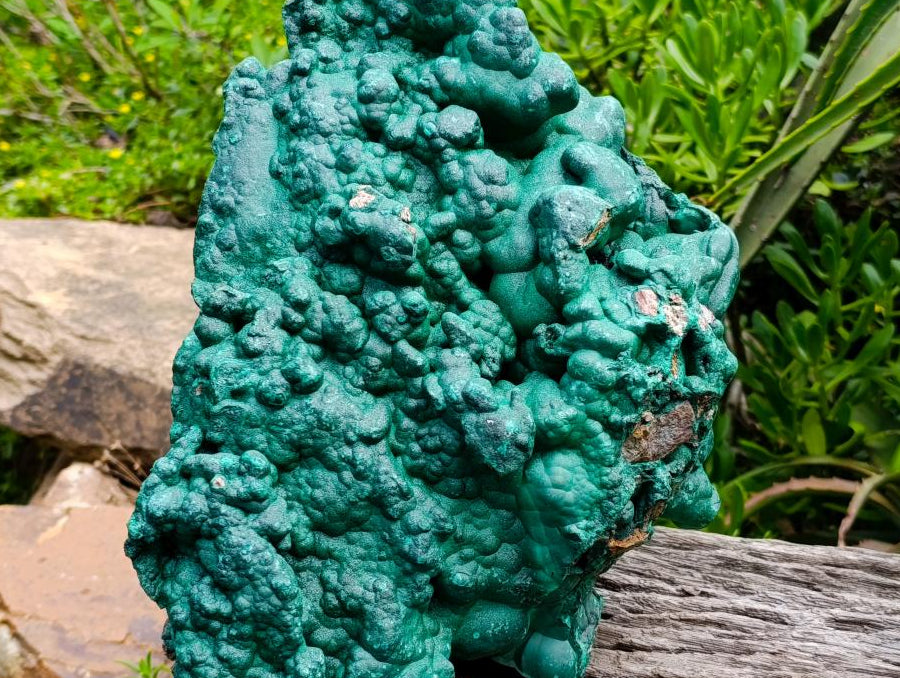 Natural XL Botryoidal Malachite Specimen x 1 From Kolwezi, Congo - Toprock Gemstones and Minerals 