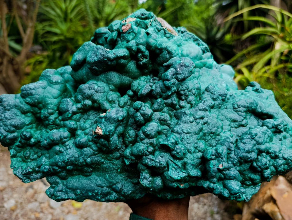 Natural XL Botryoidal Malachite Specimen x 1 From Kolwezi, Congo - Toprock Gemstones and Minerals 