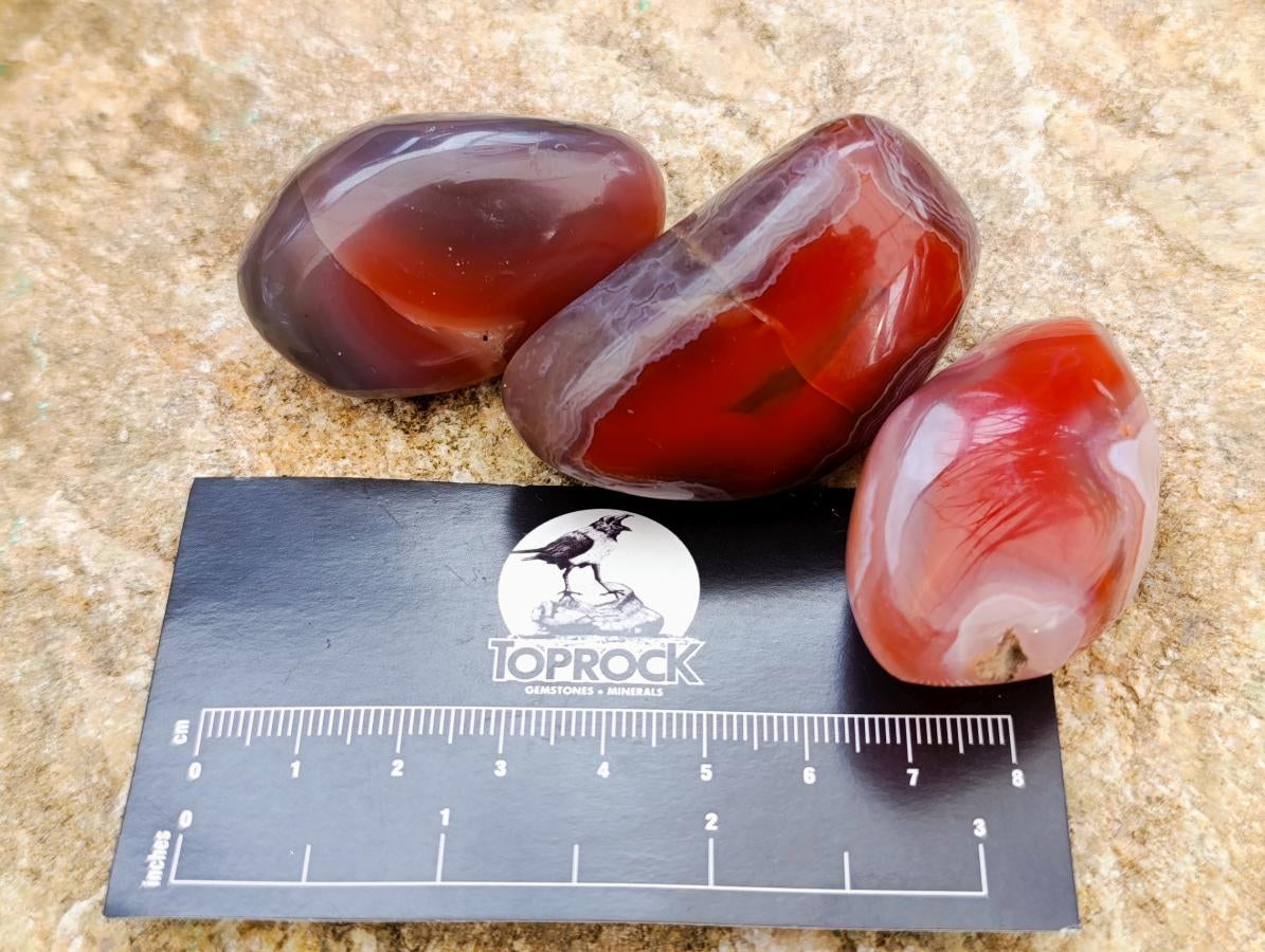 Polished Red Shashe River Agate Free Forms x 35 From Shashe River, Zimbabwe - Toprock Gemstones and Minerals 