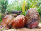 Polished Red Shashe River Agate Free Forms x 35 From Shashe River, Zimbabwe - Toprock Gemstones and Minerals 