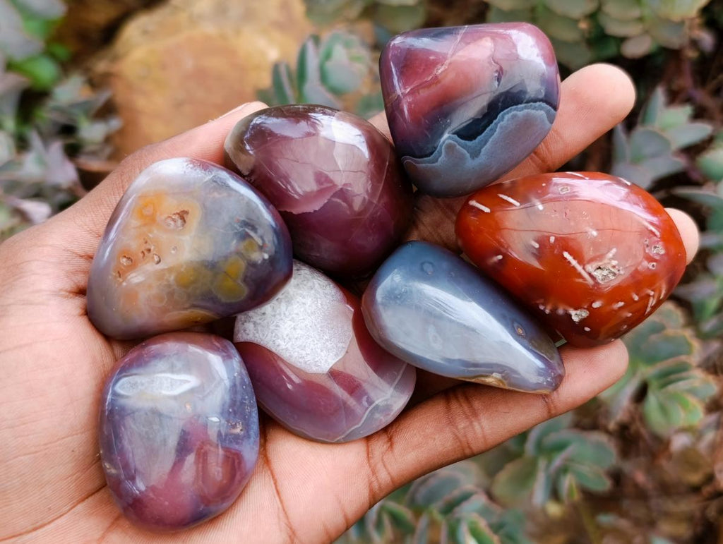 Polished Red Shashe River Agate Free Forms x 35 From Shashe River, Zimbabwe - Toprock Gemstones and Minerals 