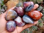 Polished Red Shashe River Agate Free Forms x 35 From Shashe River, Zimbabwe - Toprock Gemstones and Minerals 