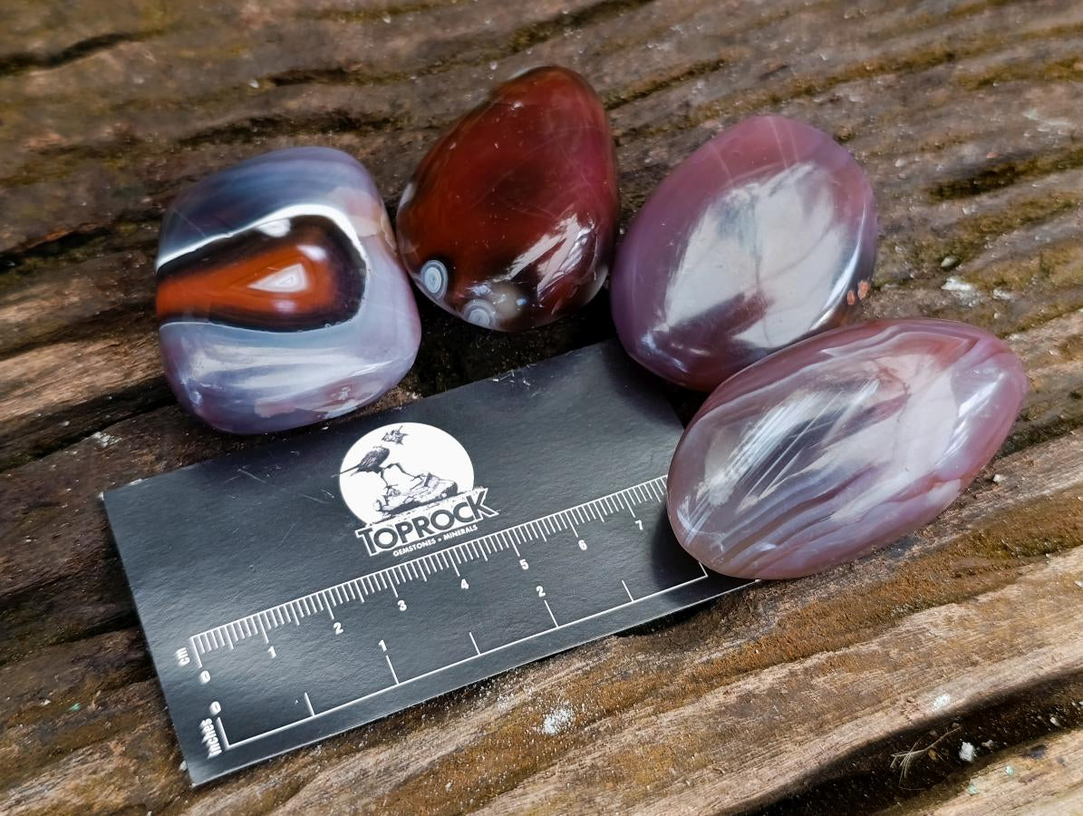 Polished Red Shashe River Agate Free Forms x 35 From Shashe River, Zimbabwe - Toprock Gemstones and Minerals 