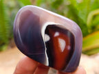 Polished Red Shashe River Agate Free Forms x 35 From Shashe River, Zimbabwe - Toprock Gemstones and Minerals 
