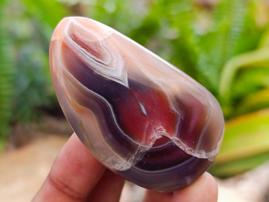 Polished Red Shashe River Agate Free Forms x 35 From Shashe River, Zimbabwe - Toprock Gemstones and Minerals 