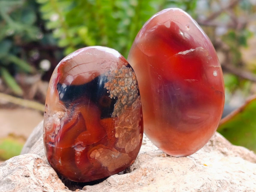 Polished Red Shashe River Agate Free Forms x 35 From Shashe River, Zimbabwe - Toprock Gemstones and Minerals 