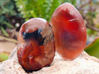 Polished Red Shashe River Agate Free Forms x 35 From Shashe River, Zimbabwe - Toprock Gemstones and Minerals 