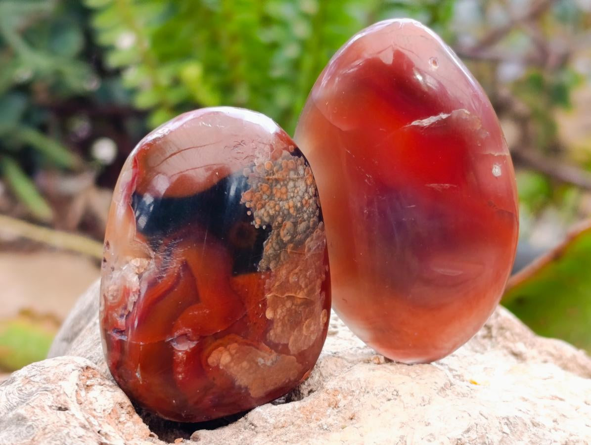 Polished Red Shashe River Agate Free Forms x 35 From Shashe River, Zimbabwe - Toprock Gemstones and Minerals 