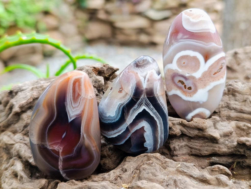 Polished Red Shashe River Agate Free Forms x 35 From Shashe River, Zimbabwe - Toprock Gemstones and Minerals 