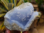 Natural Large Blue Lace Agate Geode Specimens x 6 From Nsanje, Malawi - Toprock Gemstones and Minerals 