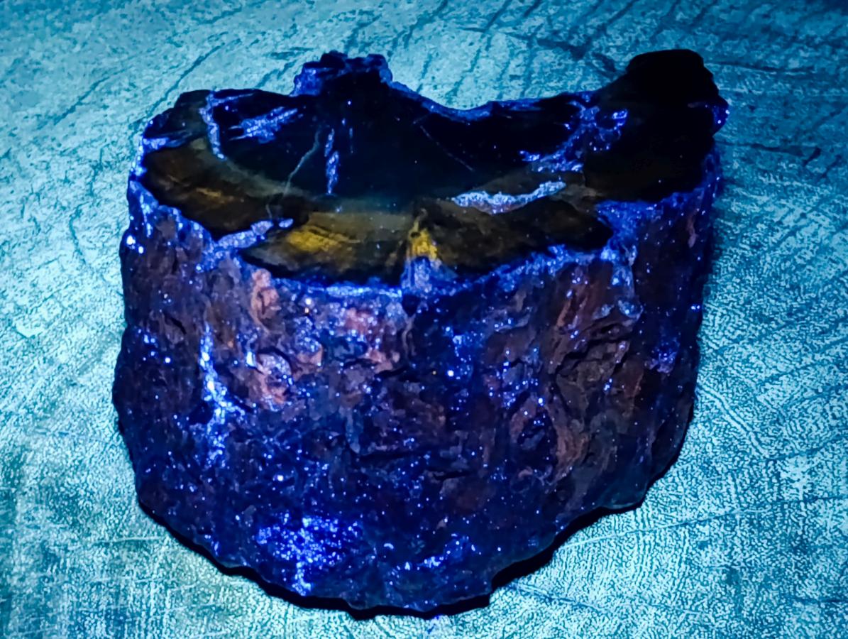 Polished On One Side Dadoxylon Petrified Wood Slices x 2 From Gokwe, Zimbabwe - Toprock Gemstones and Minerals 