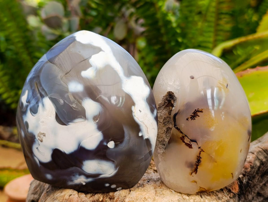 Polished Dendritic Agate Standing Free Forms x 6 From Moralambo, Madagascar - Toprock Gemstones and Minerals 
