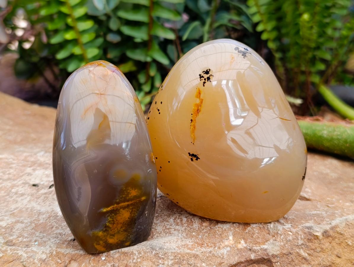 Polished Dendritic Agate Standing Free Forms x 6 From Moralambo, Madagascar - Toprock Gemstones and Minerals 