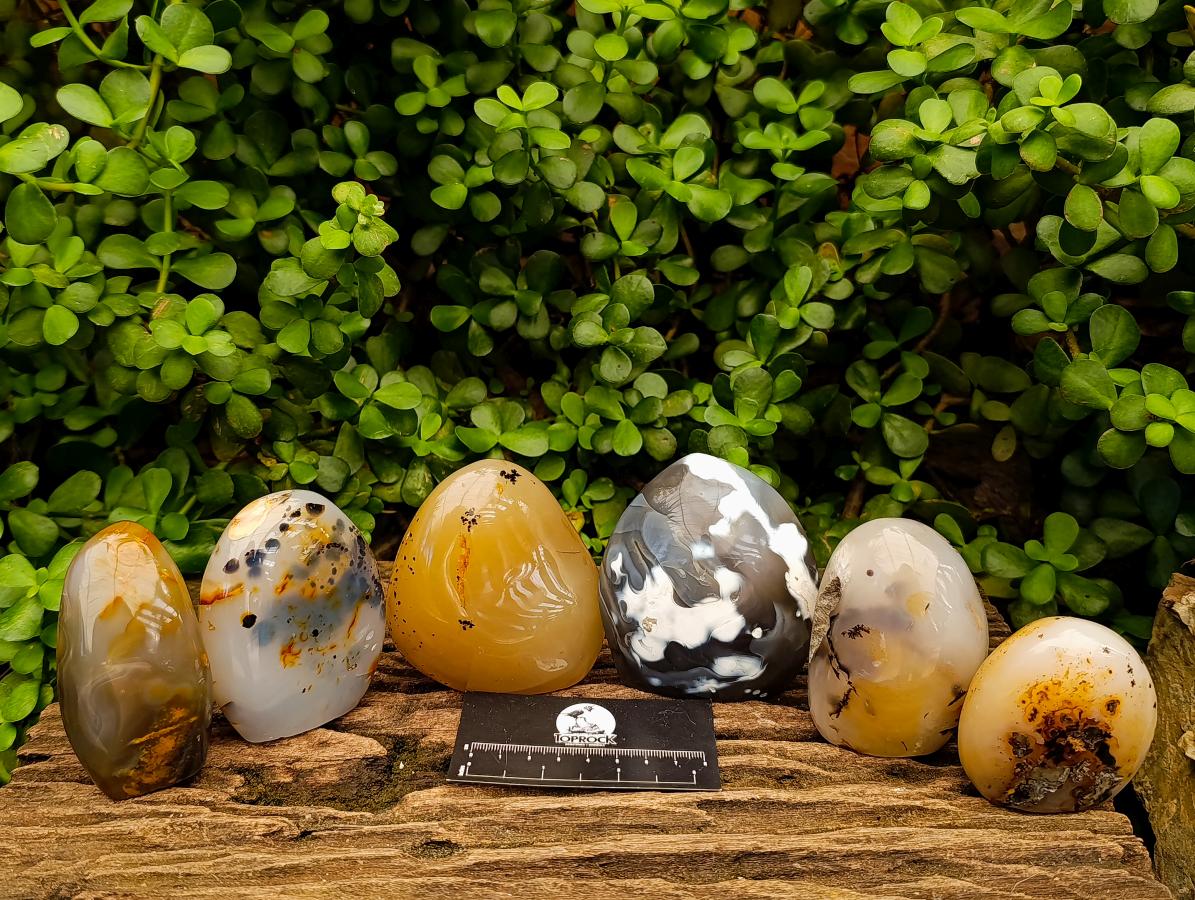 Polished Dendritic Agate Standing Free Forms x 6 From Moralambo, Madagascar - Toprock Gemstones and Minerals 