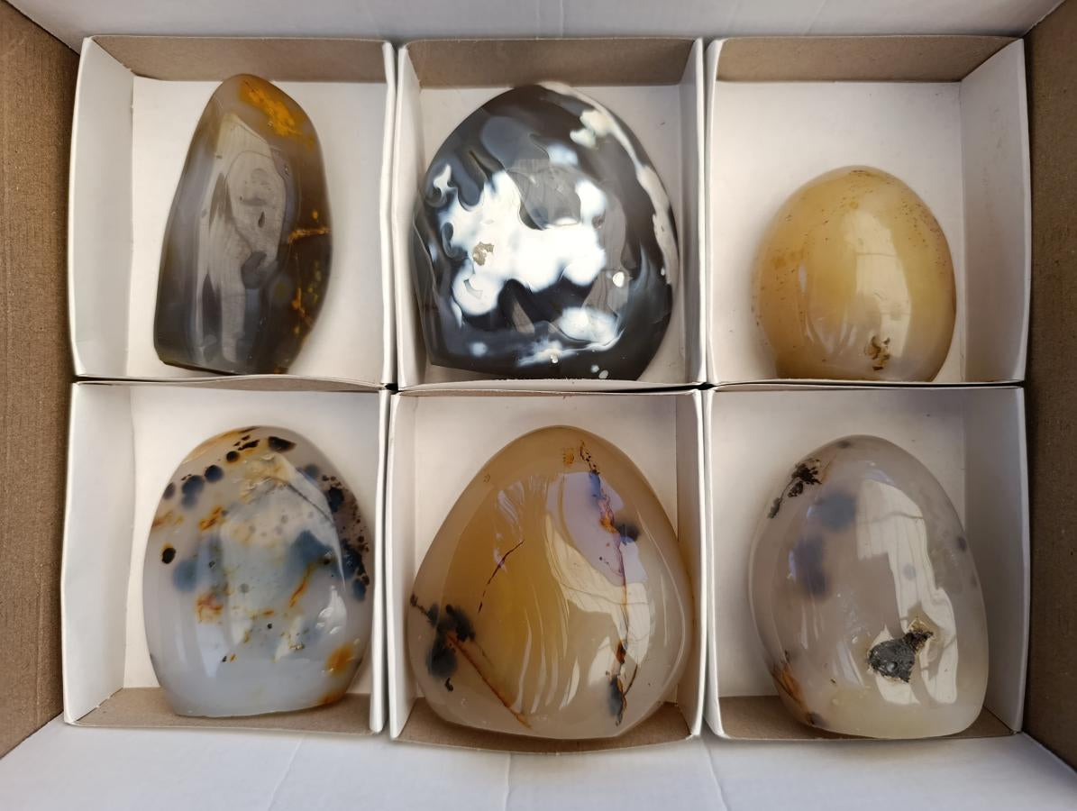 Polished Dendritic Agate Standing Free Forms x 6 From Moralambo, Madagascar - Toprock Gemstones and Minerals 