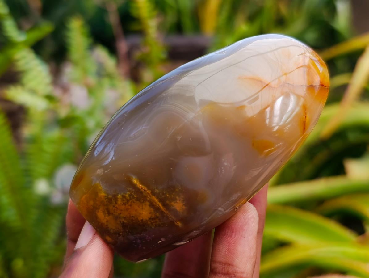 Polished Dendritic Agate Standing Free Forms x 6 From Moralambo, Madagascar - Toprock Gemstones and Minerals 