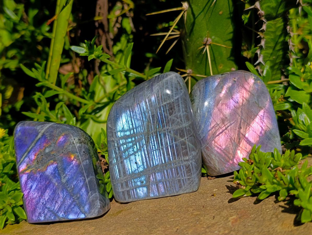 Polished Small Rare Purple Sunset Flash Labradorite Standing Free Forms x 7 From Madagascar - Toprock Gemstones and Minerals 