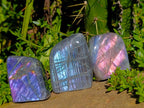 Polished Small Rare Purple Sunset Flash Labradorite Standing Free Forms x 7 From Madagascar - Toprock Gemstones and Minerals 