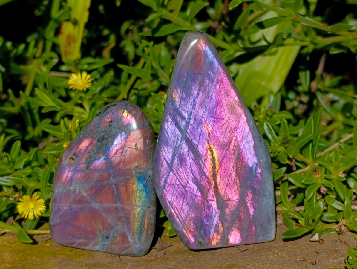 Polished Small Rare Purple Sunset Flash Labradorite Standing Free Forms x 7 From Madagascar - Toprock Gemstones and Minerals 