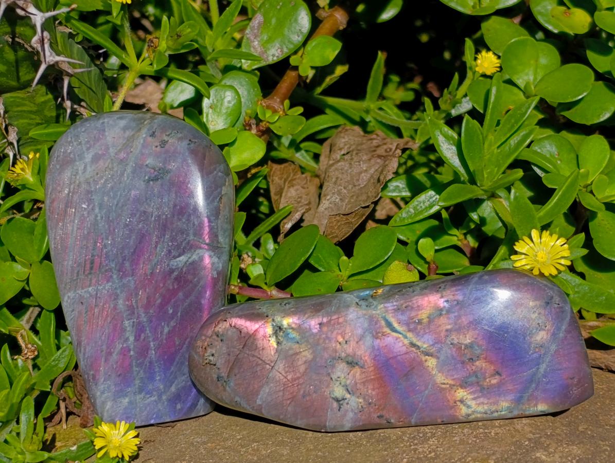 Polished Small Rare Purple Sunset Flash Labradorite Standing Free Forms x 7 From Madagascar - Toprock Gemstones and Minerals 