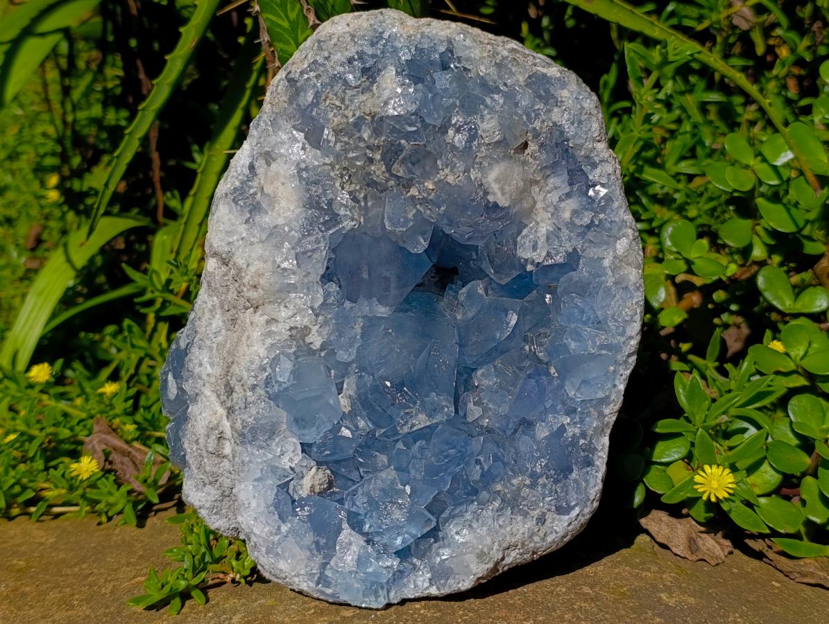 Natural Large Blue Celestite Cluster Specimen x 1 From Sakoany, Madagascar - Toprock Gemstones and Minerals 