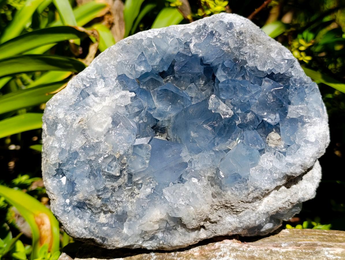 Natural Large Blue Celestite Cluster Specimen x 1 From Sakoany, Madagascar - Toprock Gemstones and Minerals 