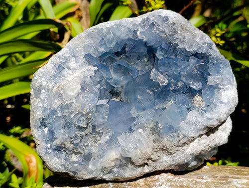 Natural Large Blue Celestite Cluster Specimen x 1 From Sakoany, Madagascar - Toprock Gemstones and Minerals 