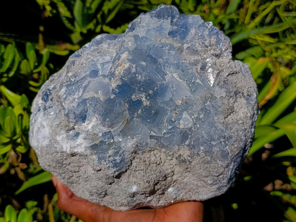 Natural Large Blue Celestite Cluster Specimen x 1 From Sakoany, Madagascar - Toprock Gemstones and Minerals 