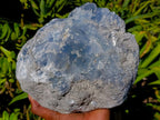 Natural Large Blue Celestite Cluster Specimen x 1 From Sakoany, Madagascar - Toprock Gemstones and Minerals 