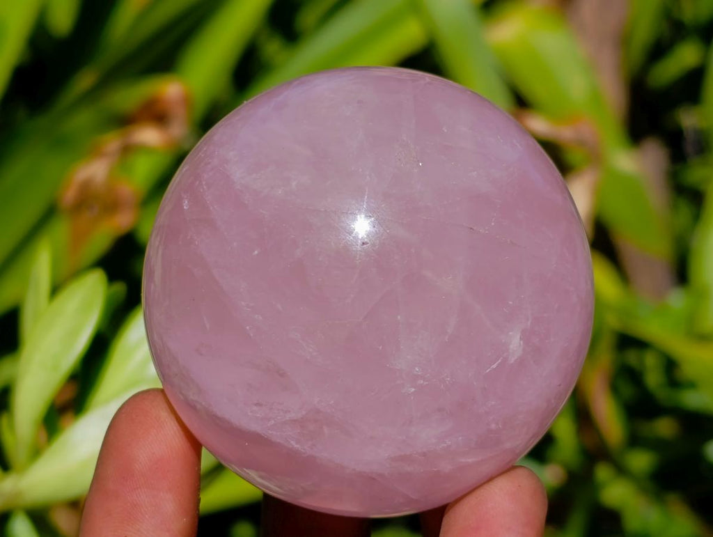 Polished Gemmy Star Rose Quartz Spheres x 4 From Madagascar - Toprock Gemstones and Minerals 