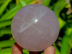 Polished Gemmy Star Rose Quartz Spheres x 4 From Madagascar - Toprock Gemstones and Minerals 