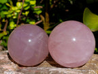 Polished Gemmy Star Rose Quartz Spheres x 4 From Madagascar - Toprock Gemstones and Minerals 