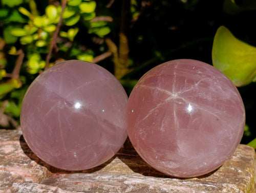 Polished Gemmy Star Rose Quartz Spheres x 4 From Madagascar - Toprock Gemstones and Minerals 