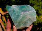 Polished On One Side Watermelon Fluorite Specimens x 3 From Uis, Namibia - Toprock Gemstones and Minerals 