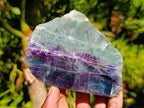 Polished On One Side Watermelon Fluorite Specimens x 3 From Uis, Namibia - Toprock Gemstones and Minerals 