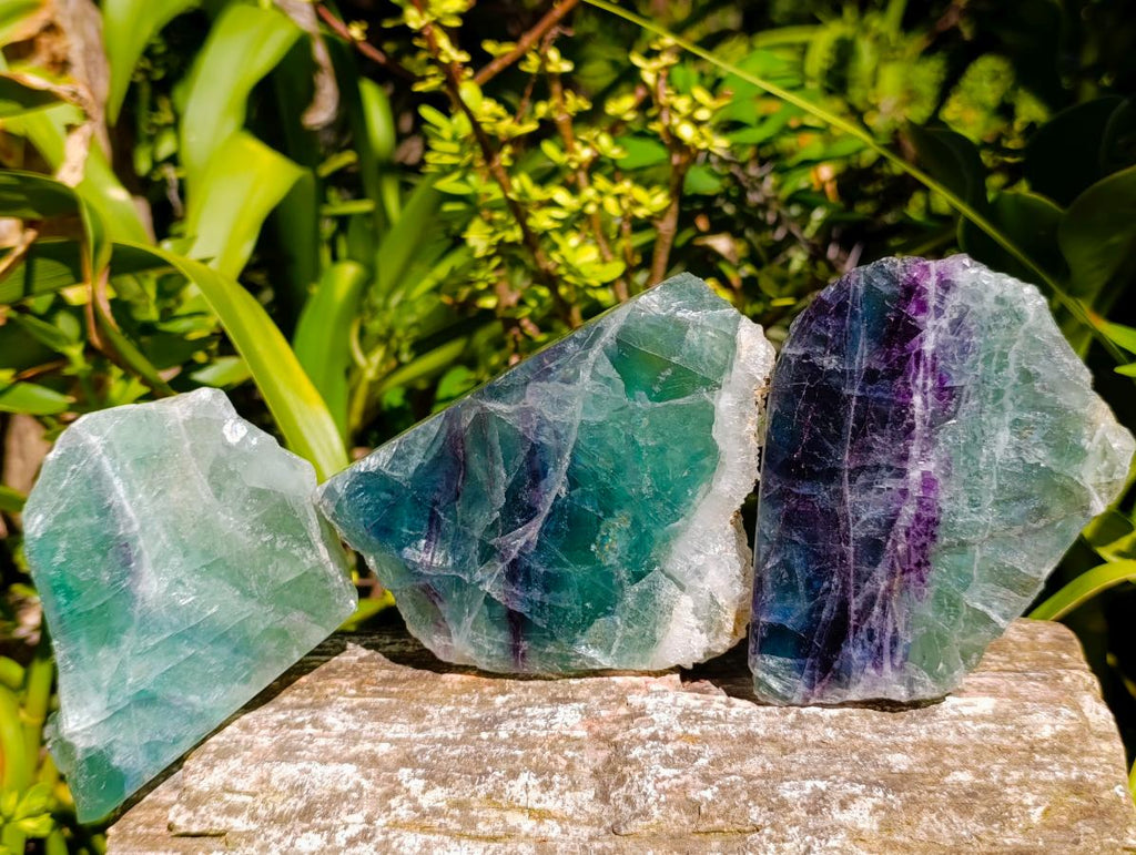 Polished On One Side Watermelon Fluorite Specimens x 3 From Uis, Namibia - Toprock Gemstones and Minerals 