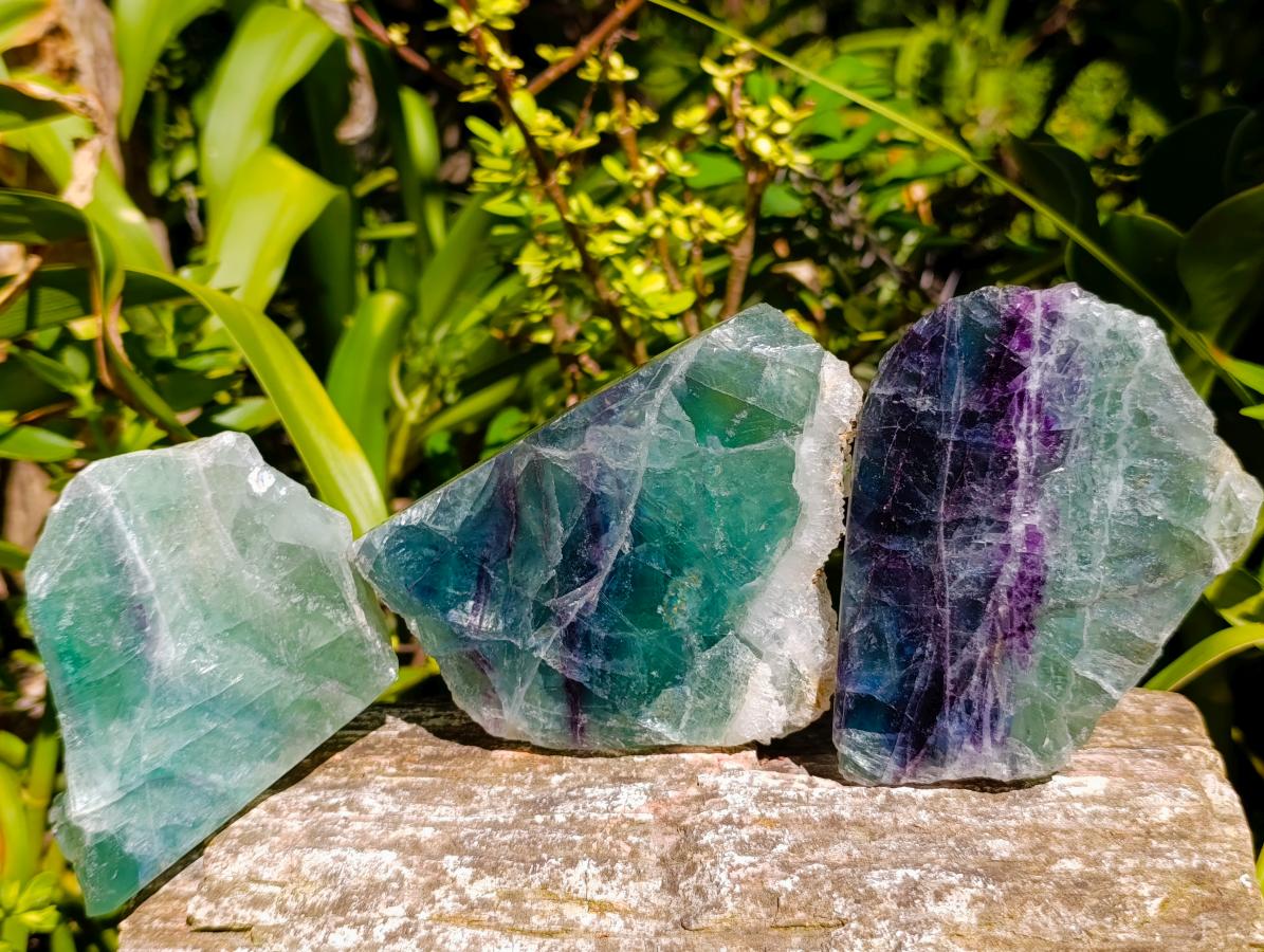 Polished On One Side Watermelon Fluorite Specimens x 3 From Uis, Namibia - Toprock Gemstones and Minerals 