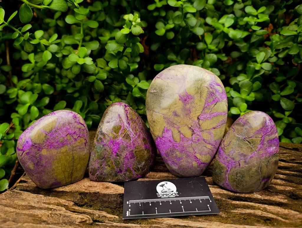 Polished Stichtite Standing Free Forms x 4 From Barberton, South Africa - Toprock Gemstones and Minerals 