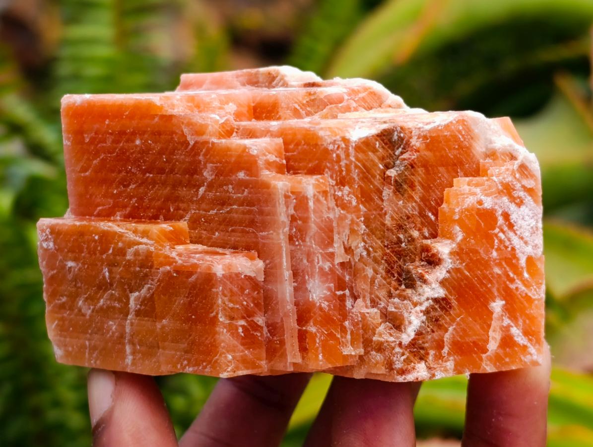 Natural Rhombohedral Sunset Orange Calcite Specimens x 12 From Spitzkop, Namibia - Toprock Gemstones and Minerals 