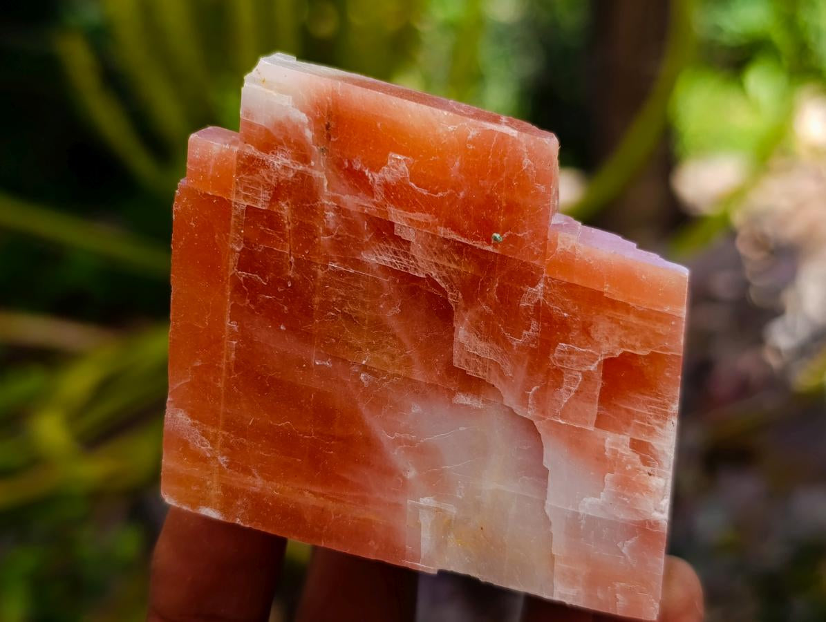 Natural Rhombohedral Sunset Orange Calcite Specimens x 12 From Spitzkop, Namibia - Toprock Gemstones and Minerals 