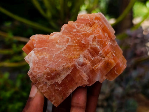 Natural Rhombohedral Sunset Orange Calcite Specimens x 12 From Spitzkop, Namibia - Toprock Gemstones and Minerals 