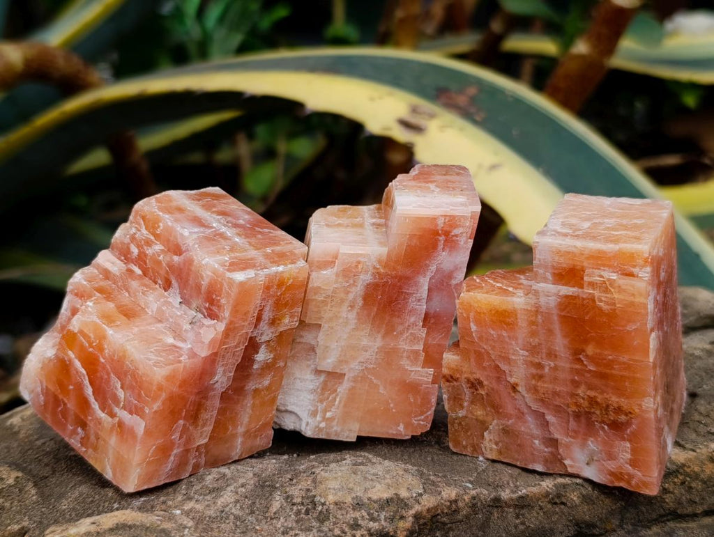 Natural Rhombohedral Sunset Orange Calcite Specimens x 12 From Spitzkop, Namibia - Toprock Gemstones and Minerals 
