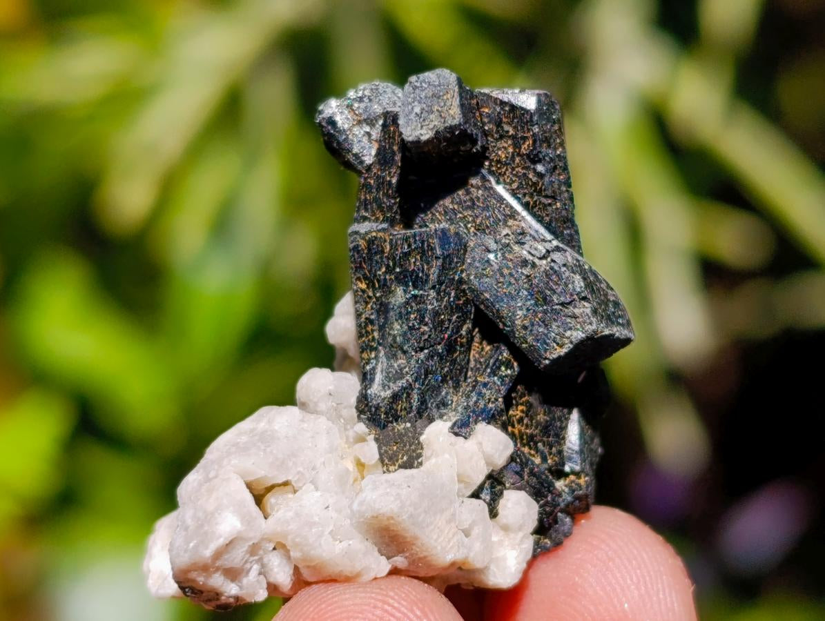 Natural Multi Mineral Specimens x 43 From Southern Africa - Toprock Gemstones and Minerals 