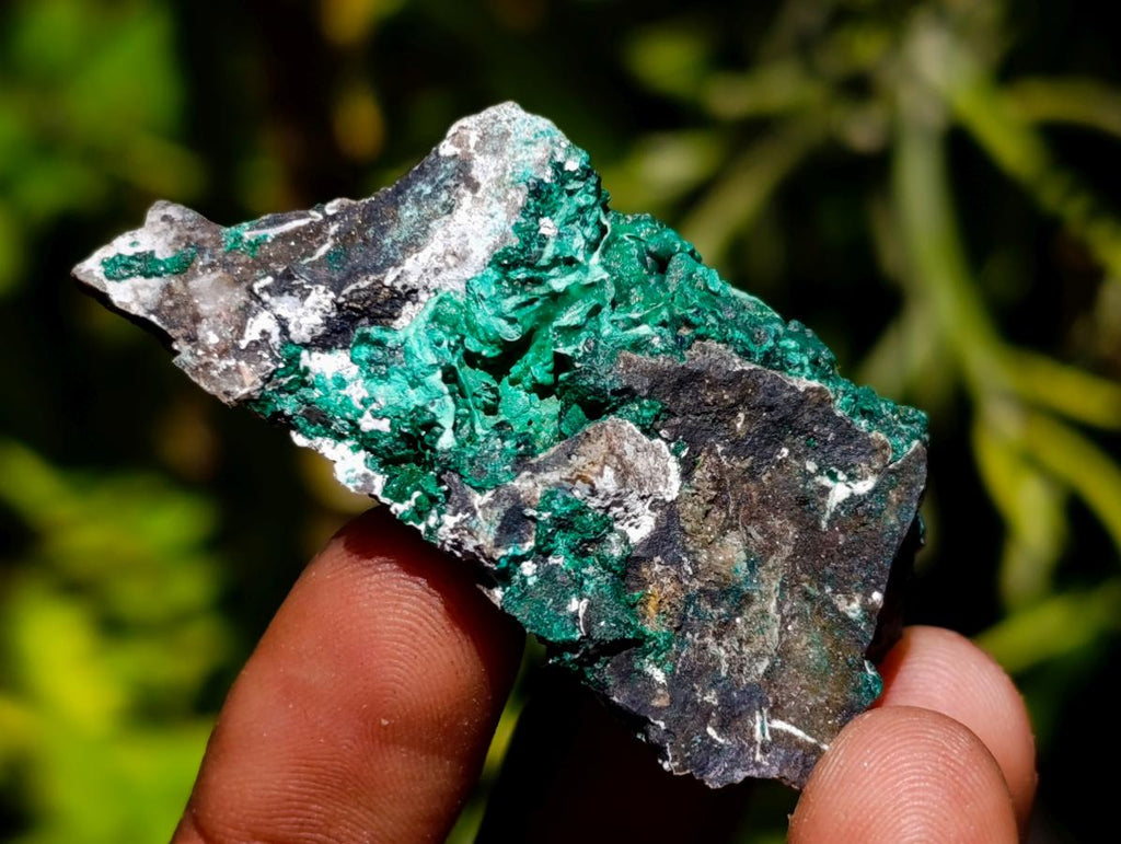 Natural Multi Mineral Specimens x 43 From Southern Africa - Toprock Gemstones and Minerals 