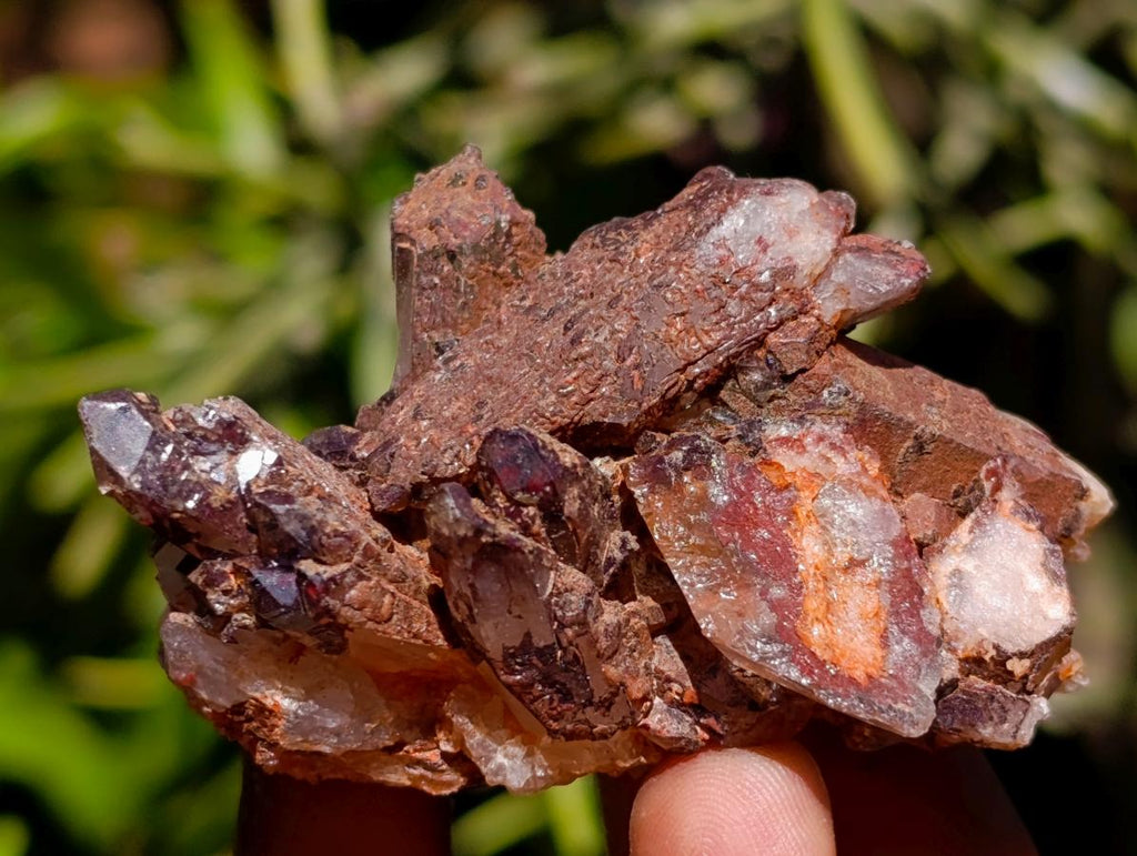 Natural Multi Mineral Specimens x 43 From Southern Africa - Toprock Gemstones and Minerals 