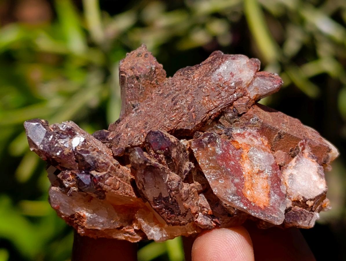 Natural Multi Mineral Specimens x 43 From Southern Africa - Toprock Gemstones and Minerals 